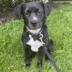 Fundraising Page: Emma Hughes